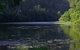 Clarence River Wilderness Lodge - thumb 0