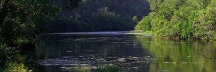 Clarence River Wilderness Lodge - Accommodation Main Beach 0