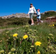 Horizons Apartment 407 - Accommodation Main Beach