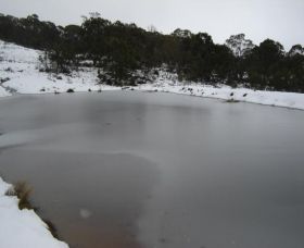 Old Minton Farmstay - Accommodation Main Beach 1
