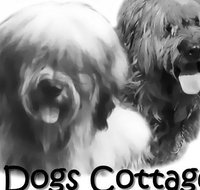 2 Dogs Cottages