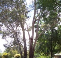 The Church House B and B - Accommodation Main Beach