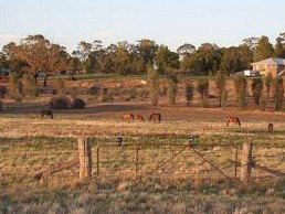 Junee Motor Inn - Accommodation Main Beach 2