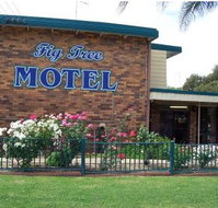 Fig Tree Motel - Accommodation Main Beach