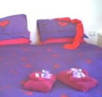 Aloomba Lavender - Accommodation - Accommodation Main Beach