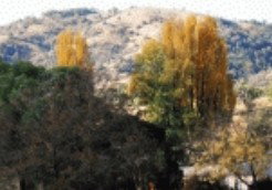 Piallamore NSW Accommodation Main Beach