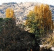 Birches Bed and Breakfast at Nundle - Accommodation Main Beach