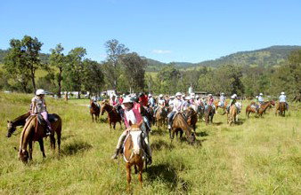 Camp Cobark - Accommodation Main Beach 0