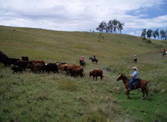 Camp Cobark - Accommodation Main Beach 2