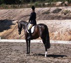 Apptrak Stud - Accommodation Main Beach 0