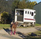 Apptrak Stud - Accommodation Main Beach 1