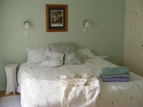 Alligator Creek QLD Accommodation Main Beach