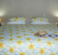 Keswick Island Guest House and Bed and Breakfast - Accommodation Main Beach