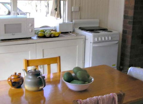 Myall Park Botanic Garden - Accommodation Main Beach 3