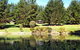 Hawke Brook Chalets - thumb 2