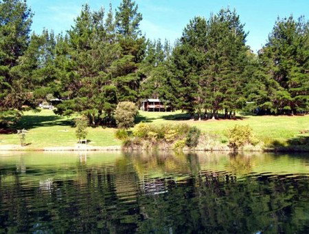Hawke Brook Chalets - Accommodation Main Beach 2