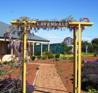 Lavendale Farmstay and Cottages - Accommodation Main Beach