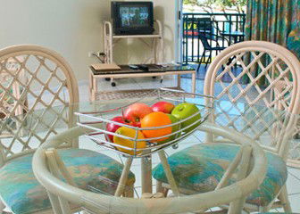 Koala Court Holiday Apartments - Accommodation Main Beach 0