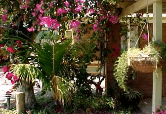 Denham Villas - Accommodation Main Beach