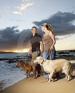 Four Seasons Holiday Park - Accommodation Main Beach 3