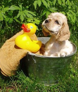 Four Seasons Holiday Park - Accommodation Main Beach 4