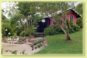 Jacaranda Cottage - Accommodation Main Beach 2