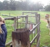Boronia Farm Farmstay