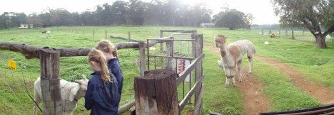 Book Donnybrook Accommodation Vacations Accommodation Main Beach Accommodation Main Beach