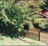 Apple Tree Cottage - Accommodation Main Beach
