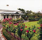 Antique Market of Warrnambool - Accommodation Main Beach
