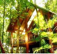 The Canopy Treehouses - Accommodation Main Beach