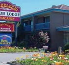 Strzelecki Motor Lodge - Accommodation Main Beach