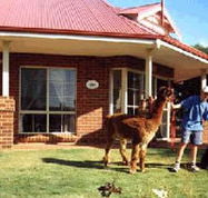 Brilea Cottages - Accommodation Main Beach