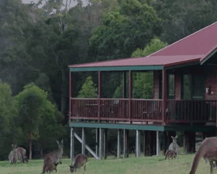 Walpole WA Accommodation Main Beach
