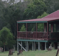 Walpole Wilderness Resort - Accommodation Main Beach