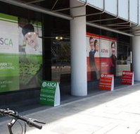 Australian College of Applied Education ACAE - Accommodation Main Beach