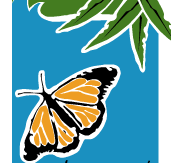 Wanderers Retreat - Accommodation Main Beach