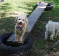 Beenleigh Pet Motel - Accommodation Main Beach