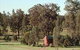 Sundowner Yass - thumb 0