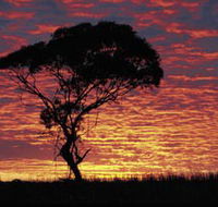 Kimba Caravan Park amp Motel