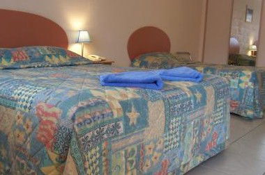 Twin Pines Motel - Accommodation Main Beach 2