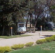 Paringa Caravan Park - Accommodation Main Beach