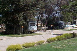 Paringa Caravan Park - Accommodation Main Beach 0