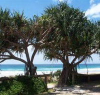 Pacific Surf Absolute Beachfront Apartments - Accommodation Main Beach