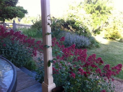 Cookes Cottage - Accommodation Main Beach 2