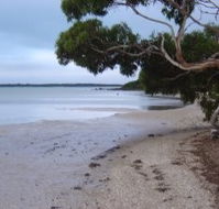 Stanley Lakeside Spa Cabins - Accommodation Main Beach