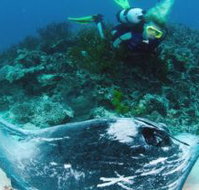 Heron Island Resort - Accommodation Main Beach