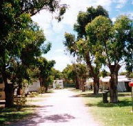 Bathers Paradise Caravan Park - Accommodation Main Beach