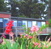 Mount Roland View - Accommodation Main Beach