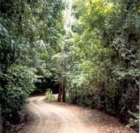 Mt Glorious Getaway Cottages And Conference Centre - Accommodation Main Beach